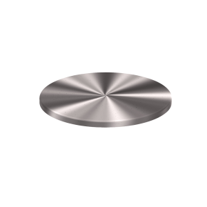 304 Stainless Steel Lid 10.13'' ID x 0.5'' OAH
